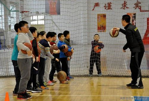 西安篮球培训寒假班 陕西旭日体育篮球培训 幼儿篮球班