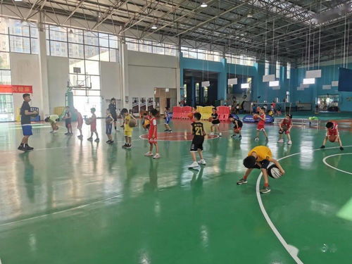 2020年洪梅镇暑期体育公益培训活动来咯